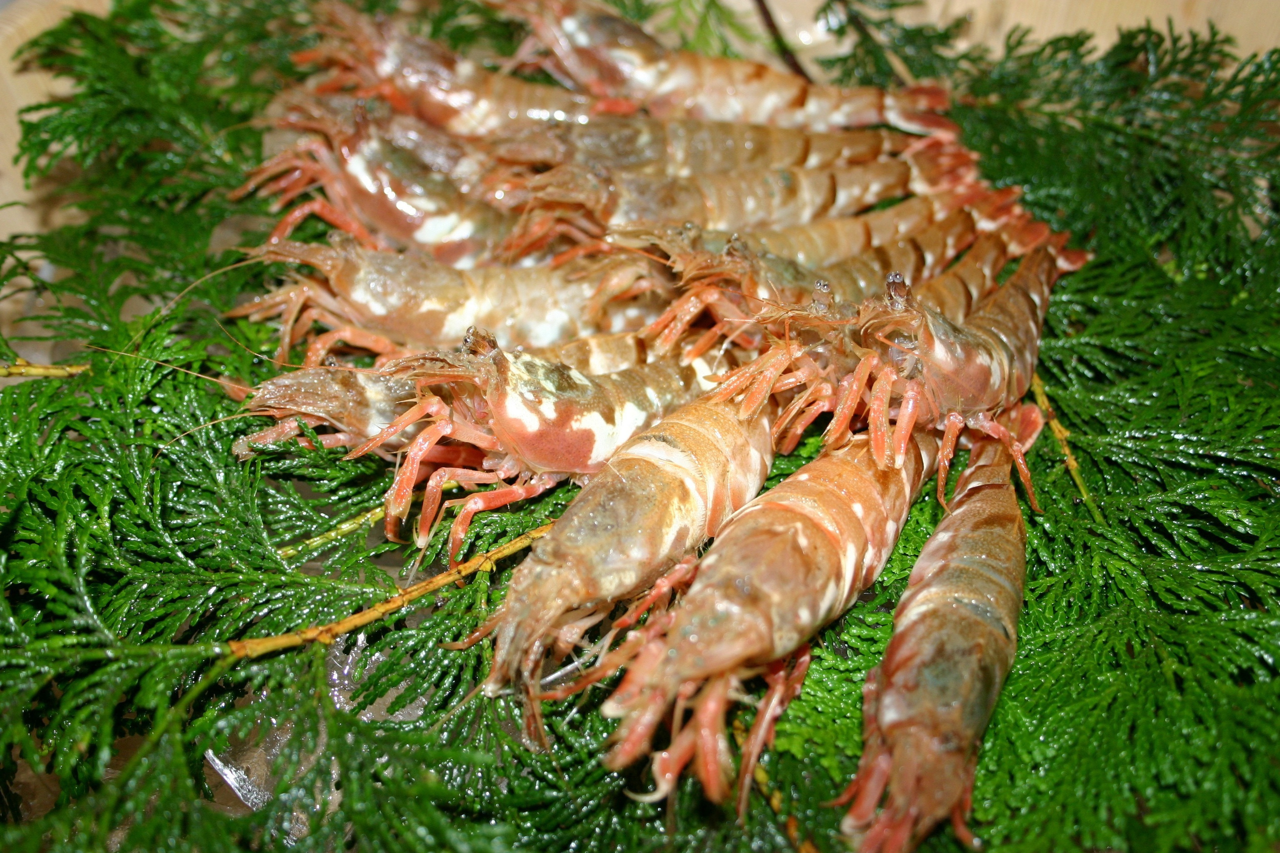 img20260831155707718843.jpg